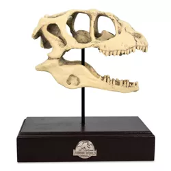 Surreal Entertainment Jurassic World Velociraptor Skull Paperweight Replica | 8 Inches Tall