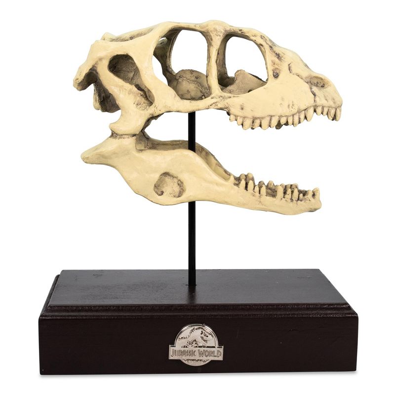 Surreal Entertainment Jurassic World Velociraptor Skull Paperweight Replica | 8 Inches Tall, 1 of 11