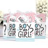 Big Dot of Happiness Baby Gender Reveal - Team Boy or Girl Party Favor Boxes - Set of 12 - 3 of 4