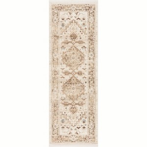 Nourison Pardis Medallion Vintage Indoor Rug - 1 of 4