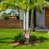 Northlight 25" Standing Pink Flamingo Outdoor Garden Statue - 2 of 4