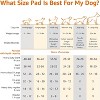 Dog and Puppy Pee Pads, Leak-Proof & Quick-Dry - 22 x 22 In. (Pack of 100) - 4 of 4