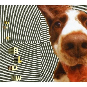Blow - The Concussive Caress, Or, Casey Caught Her Mom Singing Along With TheVacuum (CD) - 1 of 1