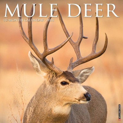 2021 Monthly Wall Calendar Mule Deer - Willow Creek Press