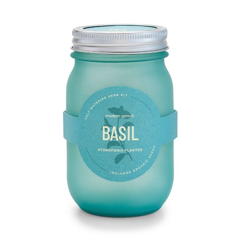 Modern Sprout Pint Jars Herb Garden Seed Kits - Basil : Target