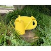 1.2 Gal Metal Watering Can & Memory Foam Kneeling Cushion – Garden & Outdoor Set - 2 of 4