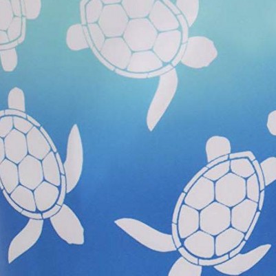 blue - turtle
