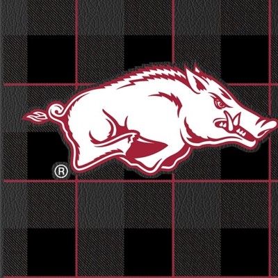 arkansas razorbacks