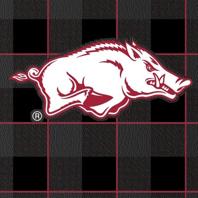 arkansas razorbacks