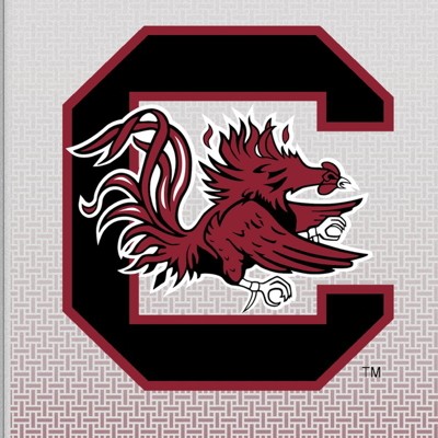 south carolina gamecocks