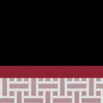 south carolina gamecocks