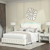 Full Size Bed Frame And Headboard With Storage 4 Drawers,Velvet Fabric Bed With Tufted Buttons And Nailhead Trim,Rgb Led Lights-Cuddlewood - 3 of 4