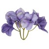Vickerman 20" Real Touch Hydrangea Wreath - 2 of 4
