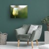 Trademark Fine Art - Suzanne Bonin Yellow and White Tulip Canvas Art - 3 of 4