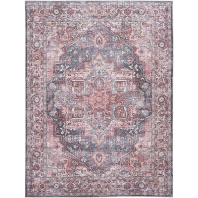Nourison New Concept Washables Vintage Indoor Area Rug