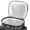 15" Soft Cooler Bag Gray Striped - National Tree Company - 4 of 4