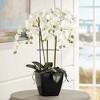 Dahlia Studios Potted Faux Artificial Flowers Realistic White Phalaenopsis Orchid in Black Pot for Home Decoration 25 1/2" High - 2 of 4