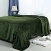 PiccoCasa 330 GMS Microfiber Polyester Luxury Flannel Fleece Soft Bed Blankets - 2 of 4