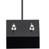 Monoprice 2-button Footswitch, Use with the Monoprice guitar Short Stack Amp - Stage Right Series - 3 of 4