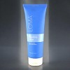 Loma Smoothing Creme - 8 oz - The three-day ticket to a high-shine, frizz-free life - 2 of 4