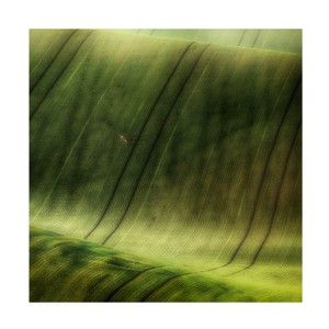 Trademark Fine Art Piotr Krol green fields Canvas Wall Art - 1 of 4