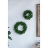 Gulches S/2 Greenery Wreath for Home Wedding Wall Window Decoration - 2 of 4