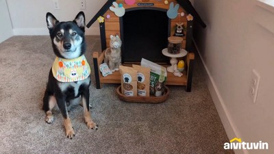 Large Brown Insulated Wooden Dog House with Elevated Floor