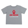 NCAA New Mexico Lobos Toddler Boys' 2pk T-Shirt - 3 of 4