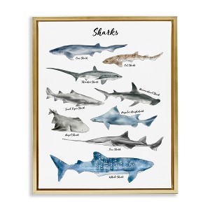 Stupell Industries Shark Chart Watercolor Marine Animals Floating Frame Canvas Art, Gold, 17" x 21" - 1 of 4
