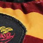 gryffindor