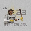 MLBPA Men's Tatis Jr Pw Licensed Mlb Fernando Tatis Jr. San Diego Padres Short Sleeve Graphic Cotton T-Shirt - Sport Grey XL - 2 of 4