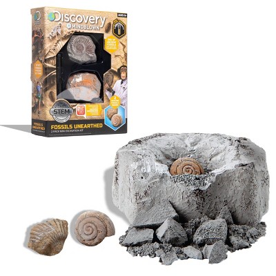 Discovery Kids Toy Excavation Science Kit Mini Fossil 2pc
