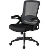 Office Chair w/ Flip-Up Armrests,Ergonomic Home Office Desk Chairs,Swivel Mesh Back Adjustable Lumbar Support Executive Task Chair for Home Office - 2 of 4