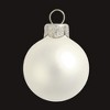 Northlight Matte Finish Glass Christmas Ball Ornament - 7" (180mm) - Fish Silver - 2 of 4
