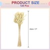 Unique Bargains Decorative Natural Dried Floral Bunny Tail Artificial Plants 120 Pcs - 2 of 4