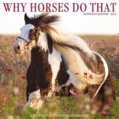 2022 Wall Calendar Why Horses Do That - Willow Creek Press