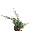 Vickerman Snow Cedar Hanging Wreath with Cone - image 4 of 4