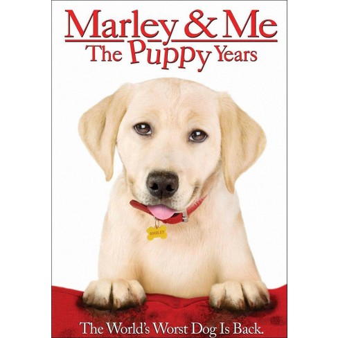 Marley & Me: The Puppy Years (dvd_video) - image 1 of 1