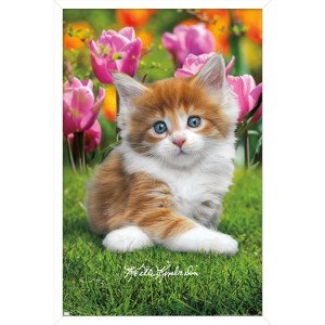 Trends International Keith Kimberlin - Maine Coon Kitten Framed Wall Poster Prints - 1 of 4
