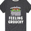 Boys' - Sesame Street - Feeling Grouchy Short Sleeve Graphic T-Shirt - 2 of 4