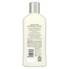 Suave Skin Solutions Body Lotion Cocoa Butter & Shea, 10 oz - 3 of 4