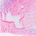 multicolored (unicorn)