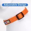 Solid Collar - 4 of 4