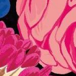 clear push pins bundle