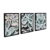 18" x 24" 3pc Sylvie Botanical Succulent Plants Framed Canvas Set by the Creative Bunch Studio Black - Kate & Laurel All Things Decor: - 2 of 4