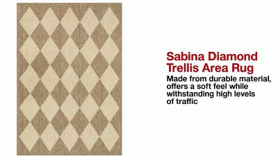 Sabina Beige and Brown Synthetic Diamond Trellis Area Rug