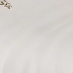 clear glass+walnut shelf