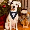 Unique Bargains Dog Wedding Tux with Bowtie and Adjustable Magic Tapes Black 1 Pc - 4 of 4