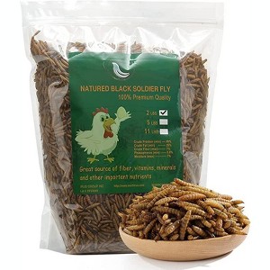 Handpoint 10LB Dried Black Soldier Fly Larvae – Natural Protein Treat for Wild Birds - 1 of 4