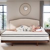 Luck Live 12 inch boxed Queen mattress, medium firmness support, pressure relief, and CertiPUR-US certified. - 4 of 4